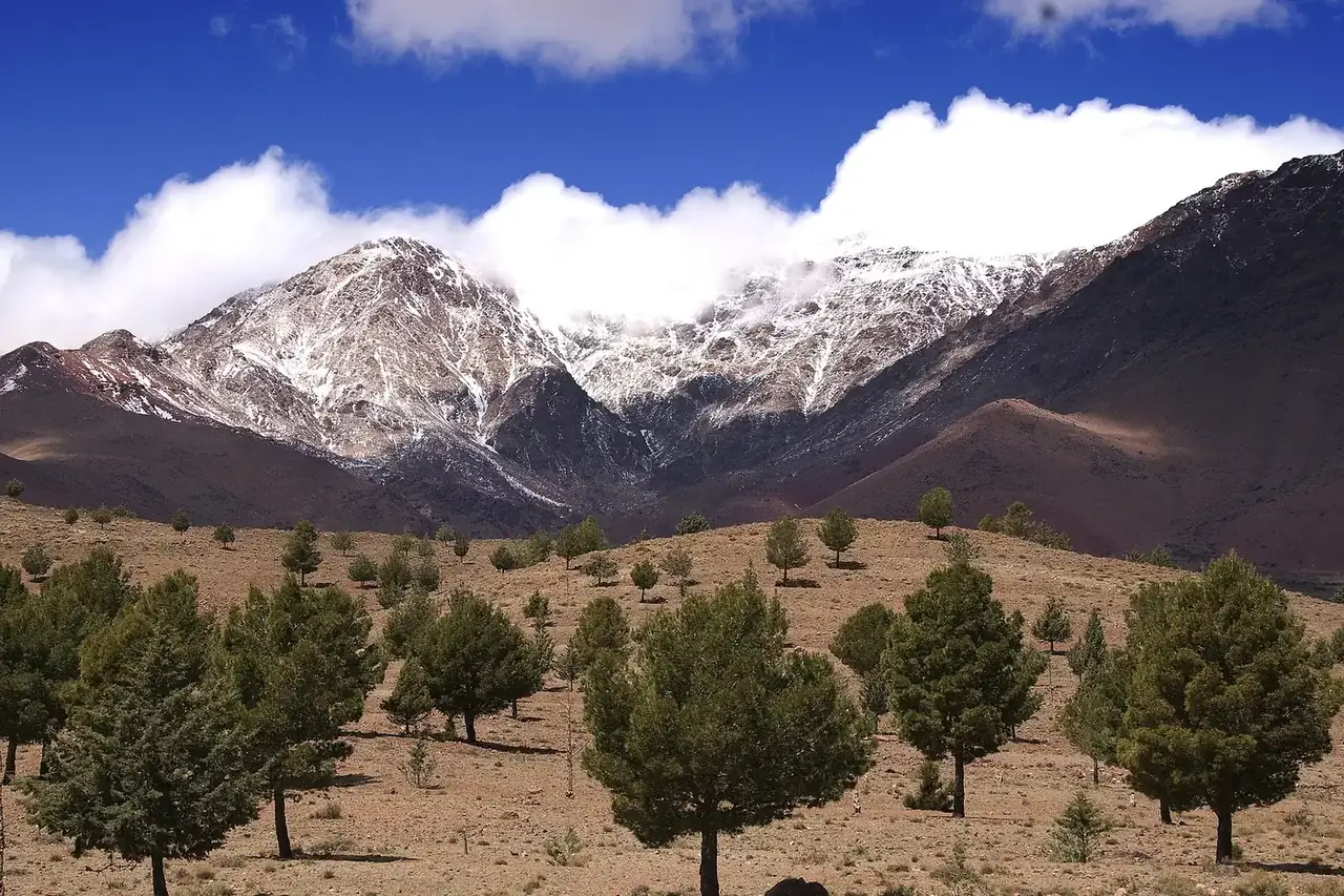 Snow on the High Atlas peaks above juniper slopes in Morocco